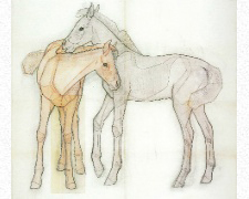 作品
