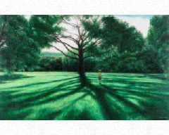作品