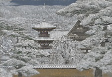 作品